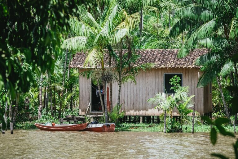 A closeup shot of boats in a river and a small house on the bay surrounded by palm trees in Amazonia